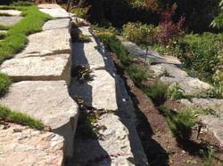 Garden and Retaining Wall